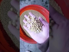 Mesin Pencet Minyak Kedelai