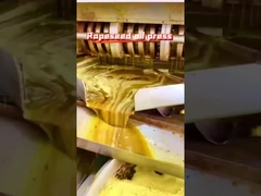 Pencet minyak biji rapeseed